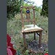 Goldenchair in the garden